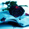 Roses avatars