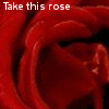 Roses avatars