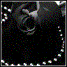 Roses avatars
