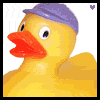 Rubber duck avatars