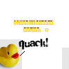 Rubber duck avatars