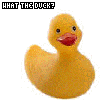 Rubber duck avatars
