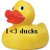Rubber duck avatars