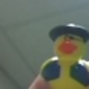 Rubber duck avatars