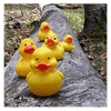 Rubber duck avatars