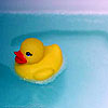 Rubber duck avatars
