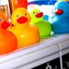 Rubber duck avatars