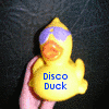 Rubber duck