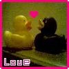 Rubber duck