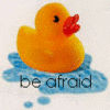 Rubber duck avatars
