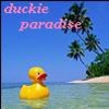 Rubber duck avatars