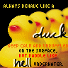 Rubber duck avatars