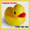 Rubber duck avatars