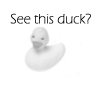 Rubber duck avatars