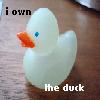 Rubber duck avatars