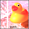 Rubber duck avatars