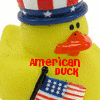 Rubber duck avatars