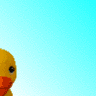 Rubber duck avatars