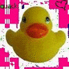 Rubber duck avatars