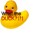 Rubber duck