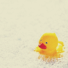 Rubber duck