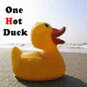 Rubber duck avatars