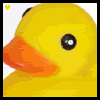 Rubber duck avatars