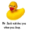 Rubber duck