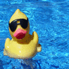 Rubber duck avatars
