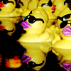 Rubber duck avatars