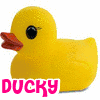 Rubber duck avatars