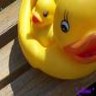 Rubber duck avatars