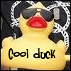 Rubber duck avatars