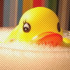Rubber duck avatars