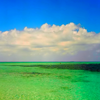 Sea avatars