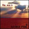 Sea avatars