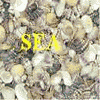 Sea avatars