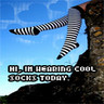Socks avatars