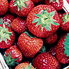 Strawberry avatars