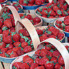 Strawberry avatars