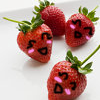 Strawberry avatars