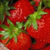 Strawberry avatars