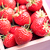 Strawberry avatars