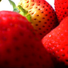Strawberry avatars