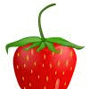 Strawberry avatars