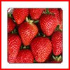 Strawberry avatars