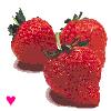 Strawberry avatars