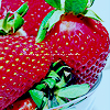 Strawberry avatars