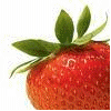 Strawberry avatars