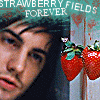 Strawberry avatars
